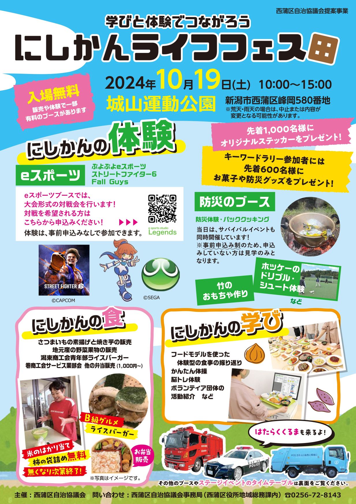フェスキメ 周辺 まとめ売り ライフフェスタ.jpg